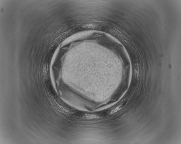 X0000066950605200604211817