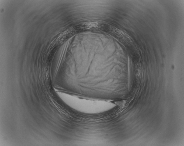 X0000066950607200604211817