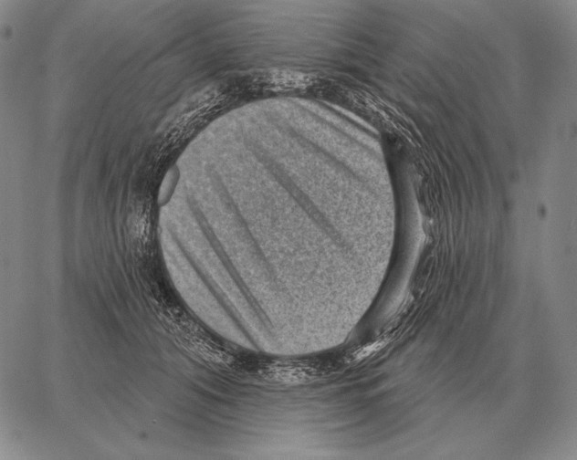 X0000066950608200604211817