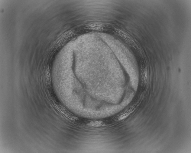 X0000066950609200604211817