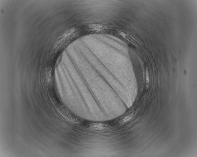 X0000066950611200604211817