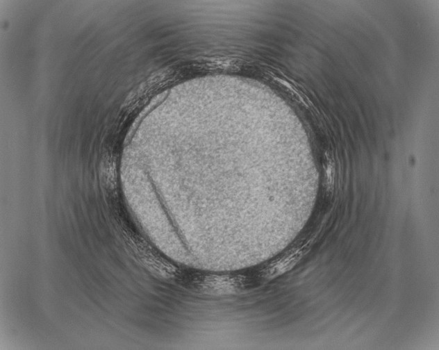 X0000066950613200604211817