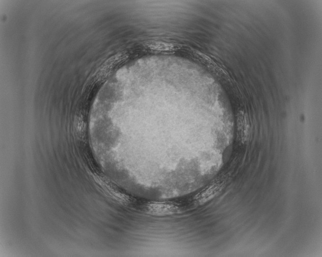 X0000066950614200604211817