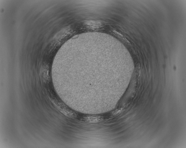 X0000066950615200604211817