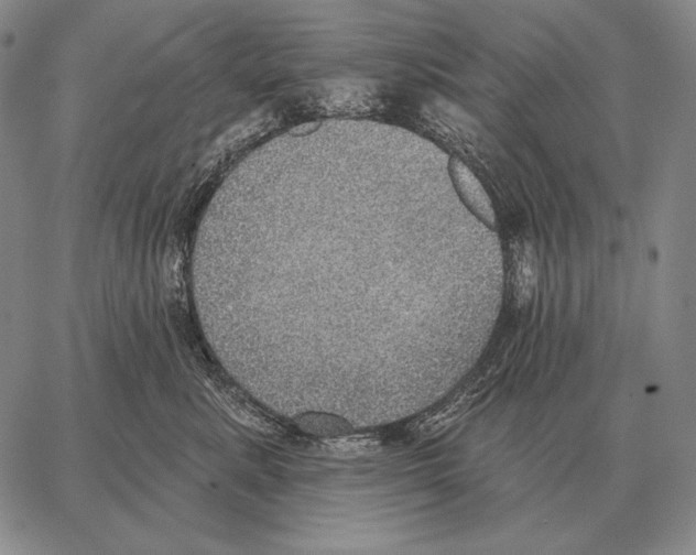 X0000066950619200604211817