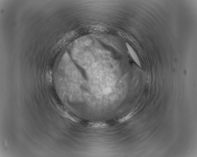 X0000066950621200604211817