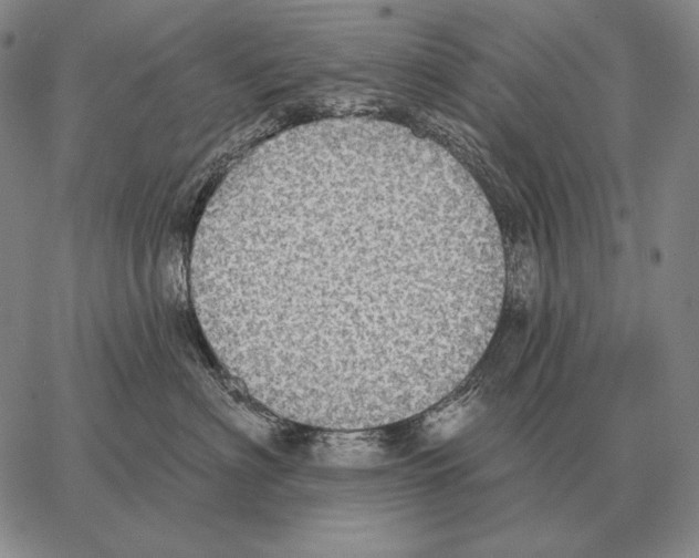 X0000066950622200604211817