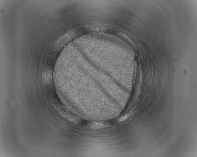 X0000066950623200604211817