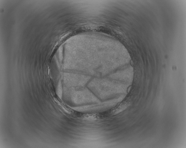 X0000066950624200604211817