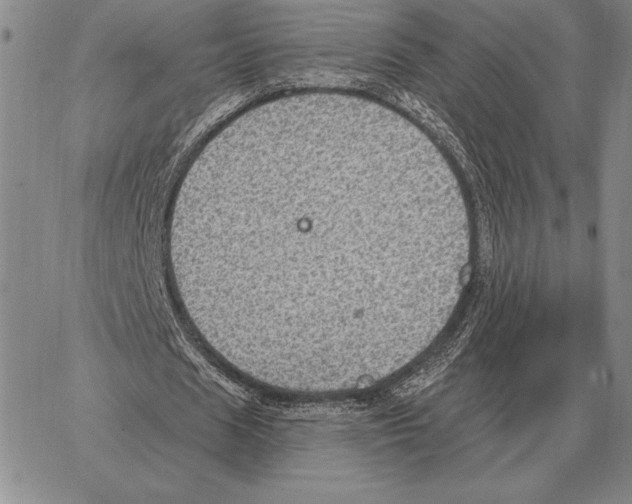 X0000066950625200604211816