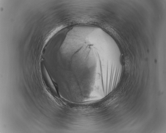 X0000066950626200604211816