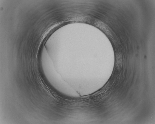 X0000066950628200604211816