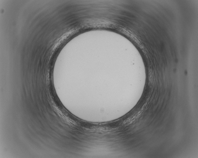 X0000066950629200604211816