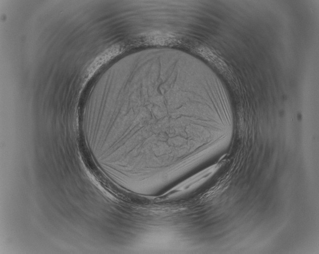 X0000066950630200604211816