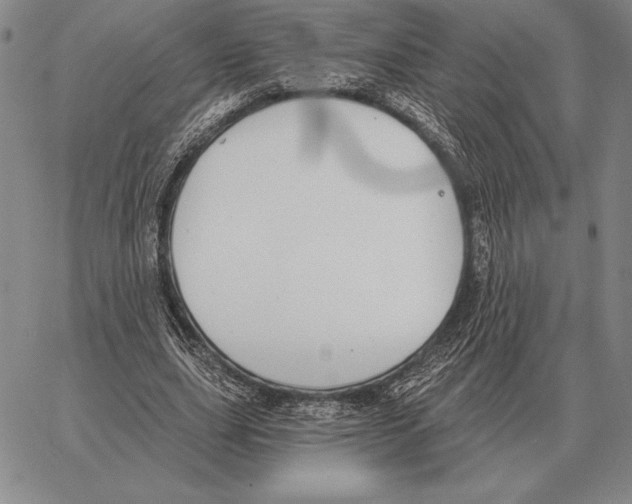 X0000066950631200604211816