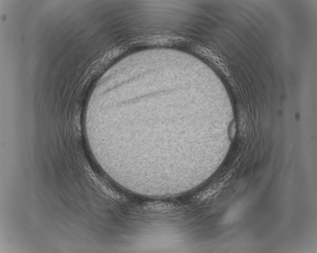 X0000066950633200604211816