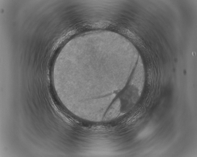 X0000066950634200604211816