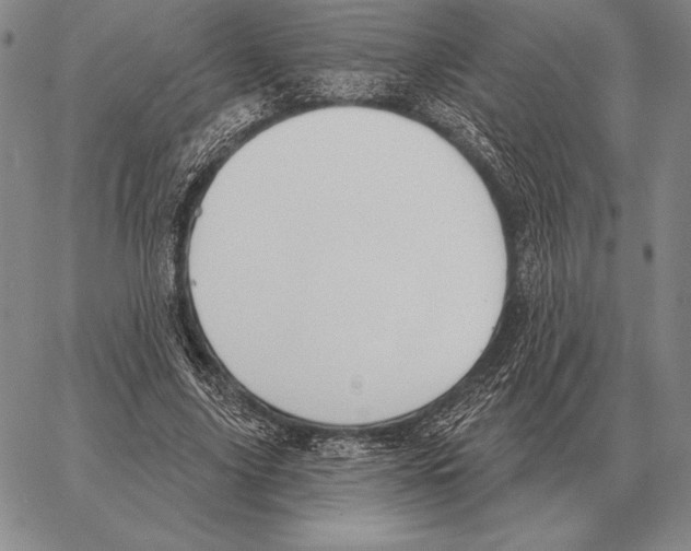 X0000066950635200604211816