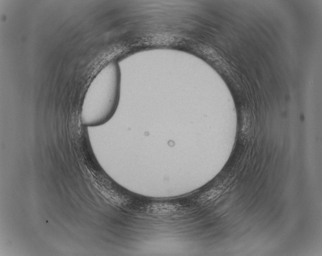 X0000066950636200604211816