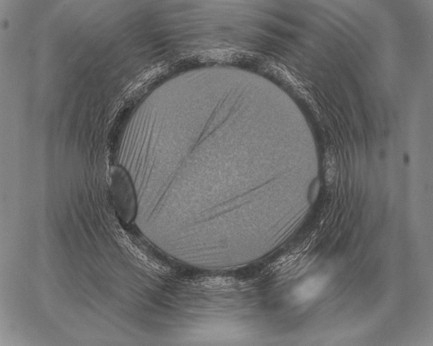 X0000066950637200604211816