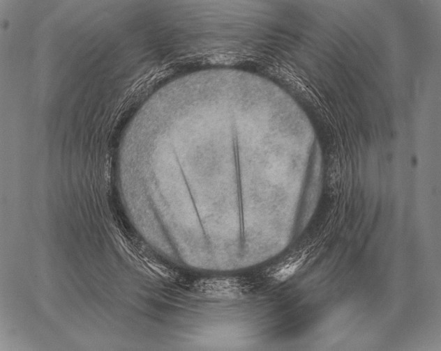 X0000066950639200604211816