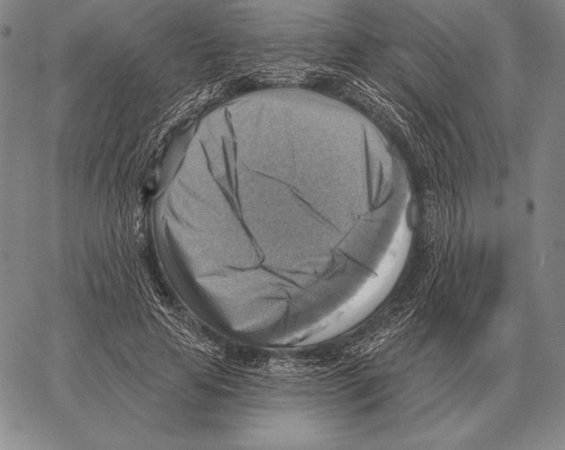 X0000066950641200604211816