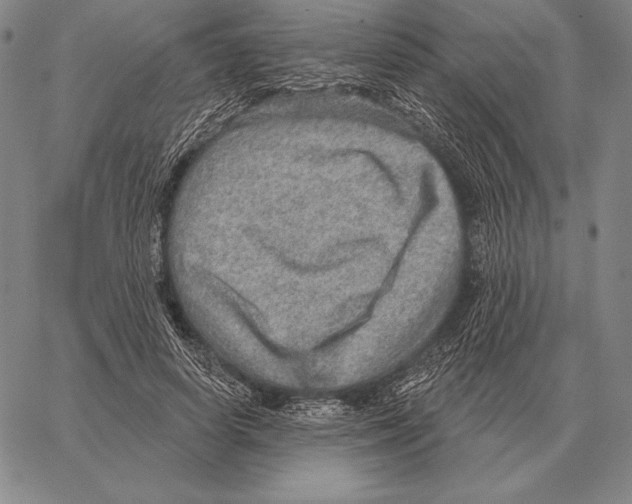 X0000066950642200604211816