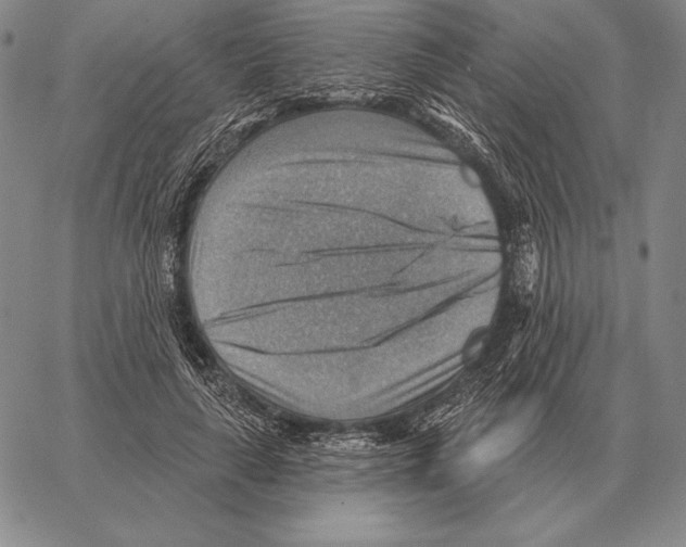 X0000066950643200604211816