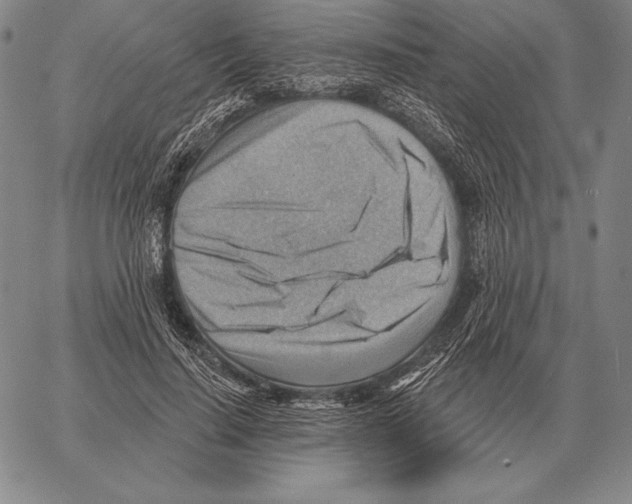 X0000066950644200604211816