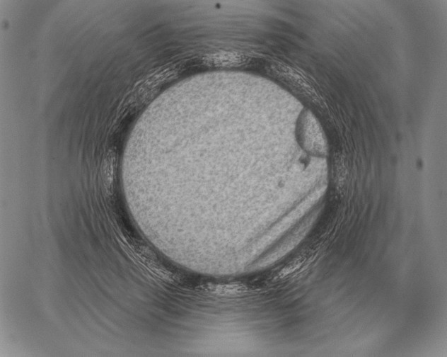 X0000066950645200604211816