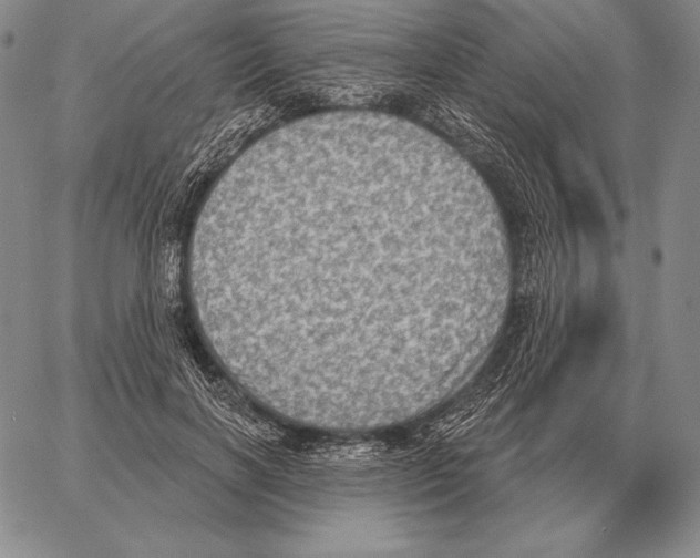 X0000066950646200604211816