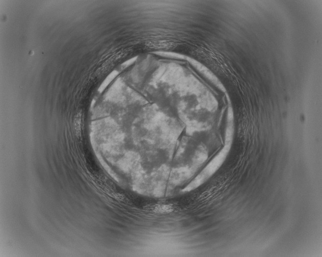 X0000066950647200604211816