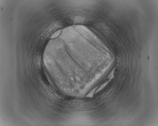 X0000066950648200604211816