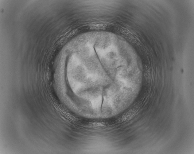 X0000066950649200604211816