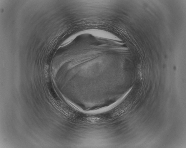 X0000066950650200604211816