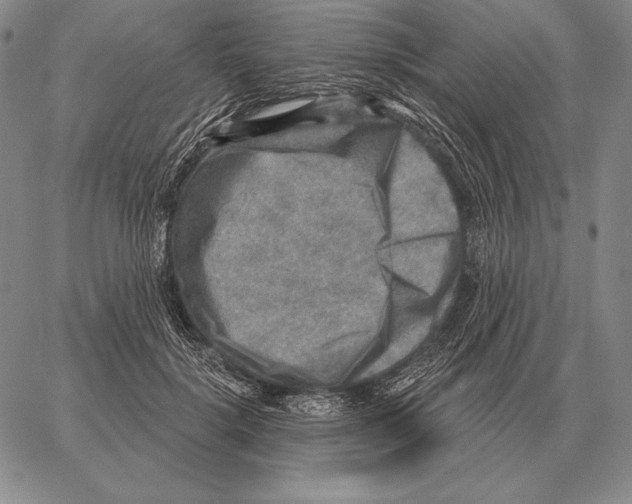 X0000066950652200604211816