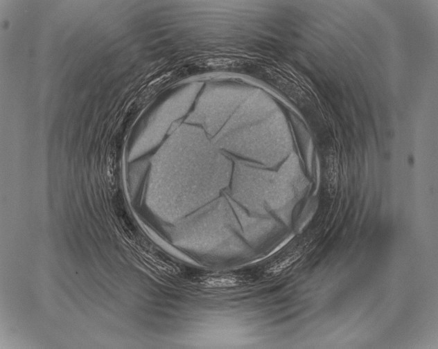 X0000066950653200604211816