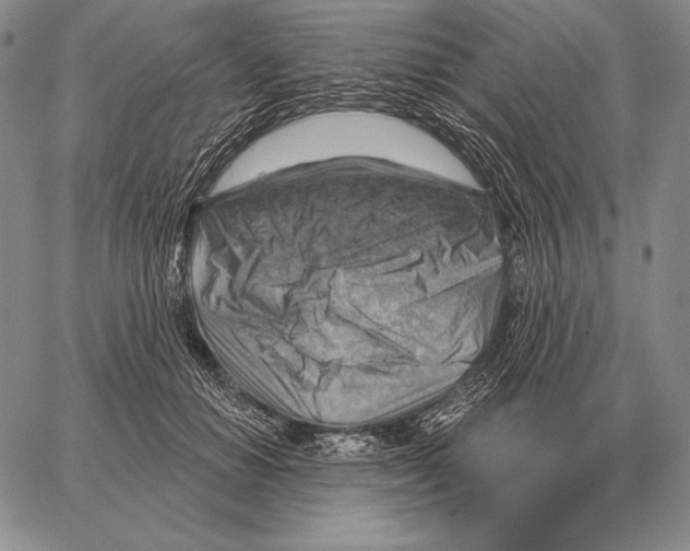 X0000066950654200604211816