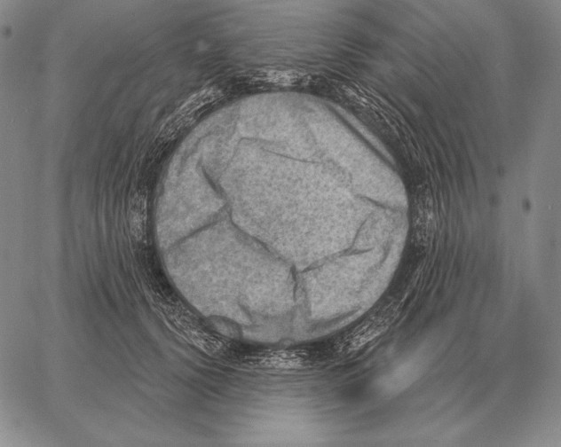 X0000066950656200604211816