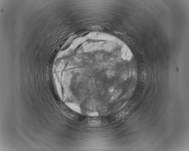 X0000066950658200604211816