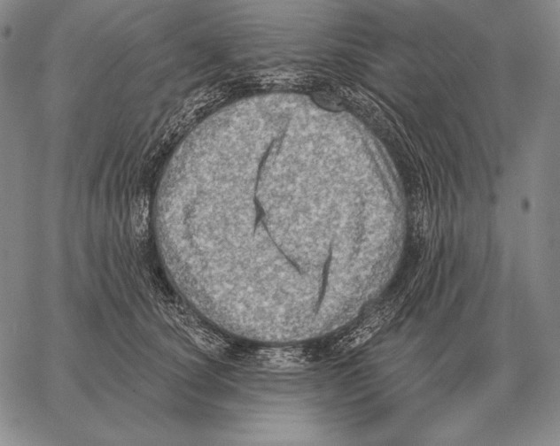 X0000066950660200604211816