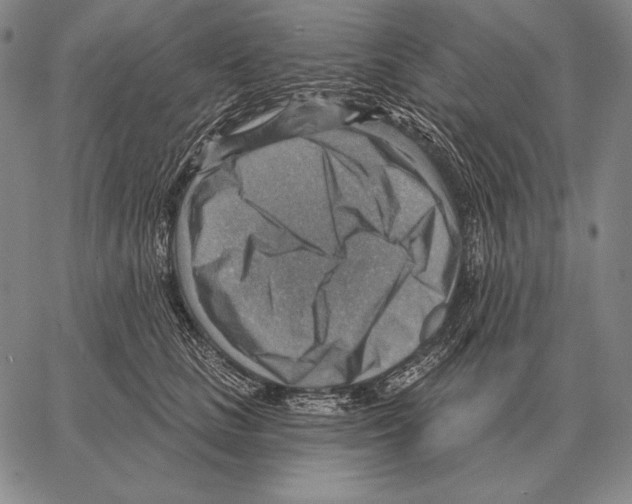 X0000066950661200604211816