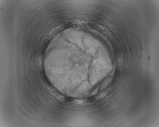 X0000066950662200604211816