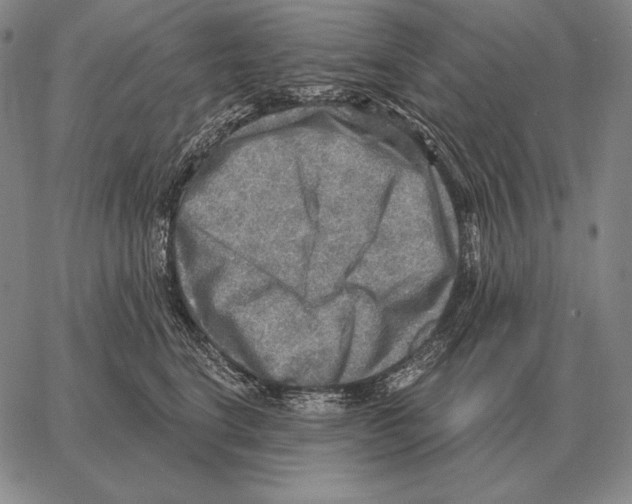 X0000066950664200604211817