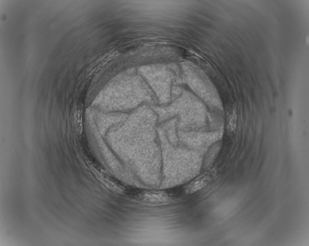 X0000066950666200604211817