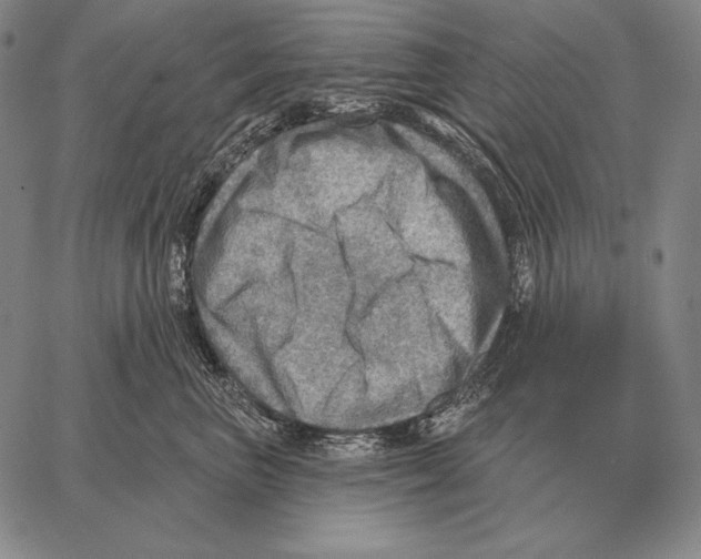 X0000066950667200604211817