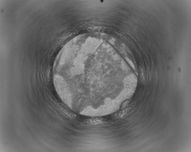 X0000066950668200604211817