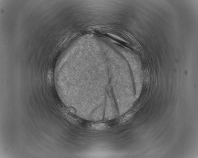 X0000066950669200604211817