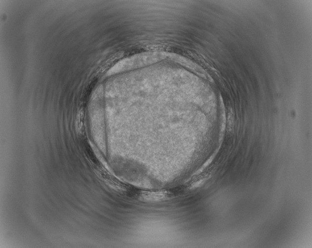 X0000066950671200604211817