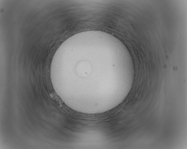 X0000066950672200604211817